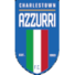 查尔斯顿市布鲁斯logo